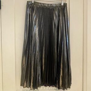 Banana Republic - Silvery Metallic Maxi Skirt (size: 6P)